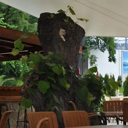 Hotell Bsa Gradina & Aquapark Golden Sands